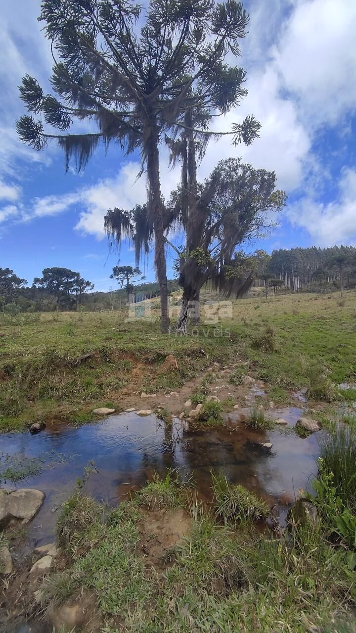 Fazenda de 75 ha em Major Gercino, SC