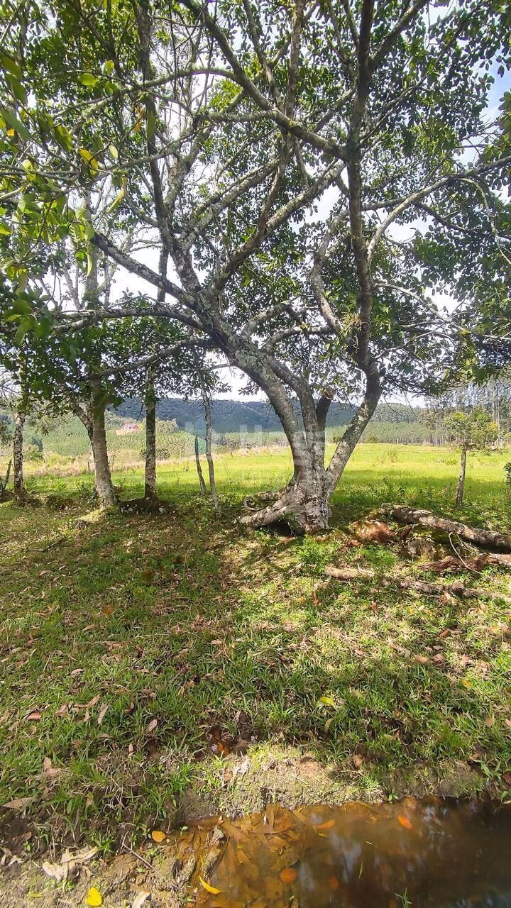 Fazenda de 75 ha em Major Gercino, SC