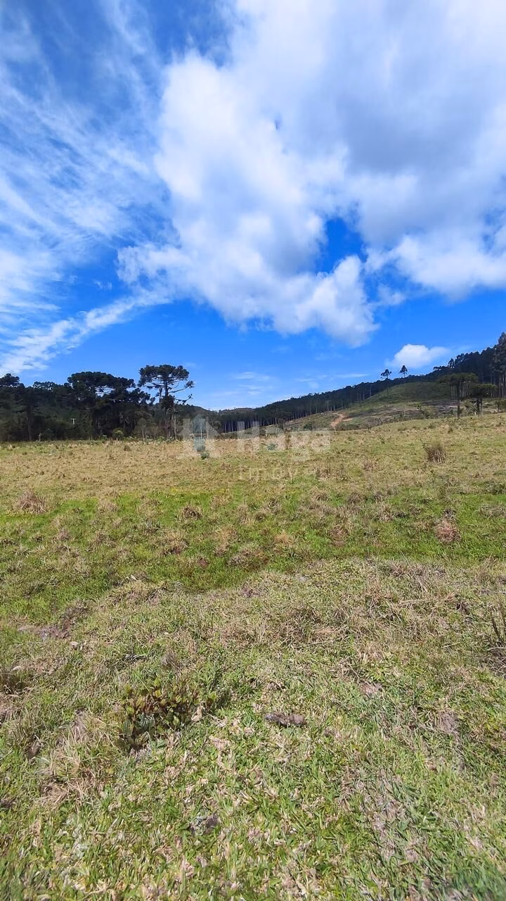 Fazenda de 75 ha em Major Gercino, SC