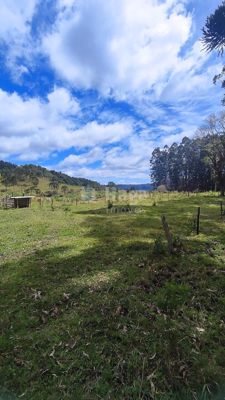 Fazenda de 75 ha em Major Gercino, SC