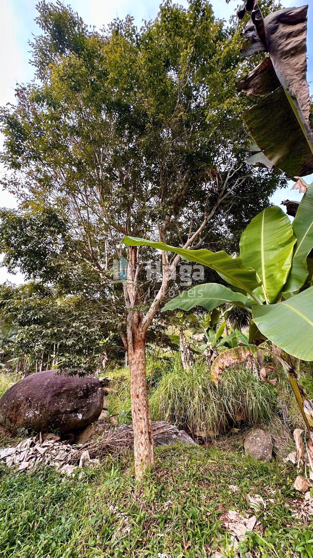 Plot of 6 acres in São João Batista, SC, Brazil