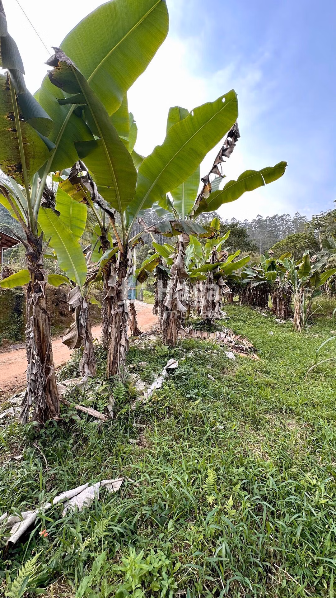 Plot of 6 acres in São João Batista, SC, Brazil