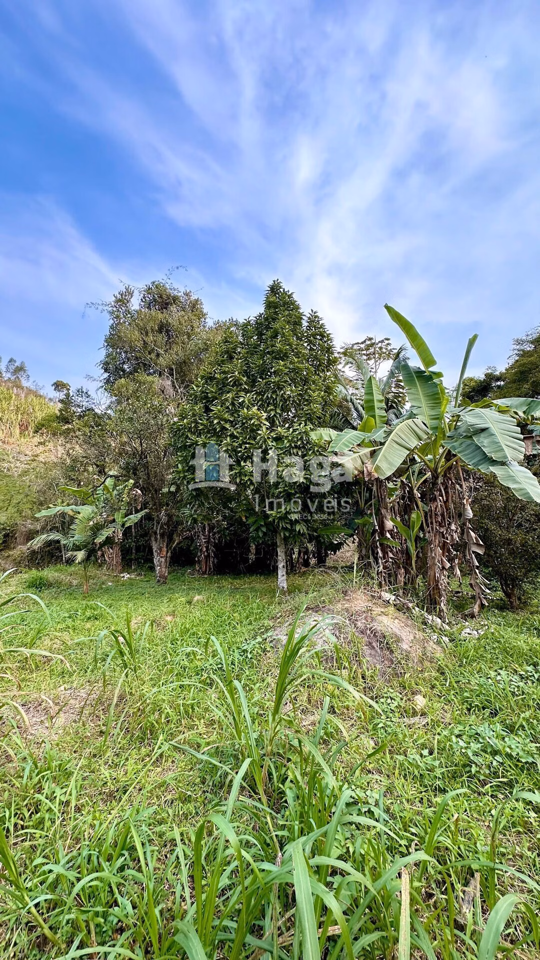 Plot of 6 acres in São João Batista, SC, Brazil