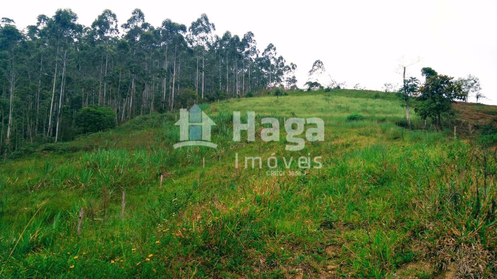 Plot of 6 acres in São João Batista, SC, Brazil