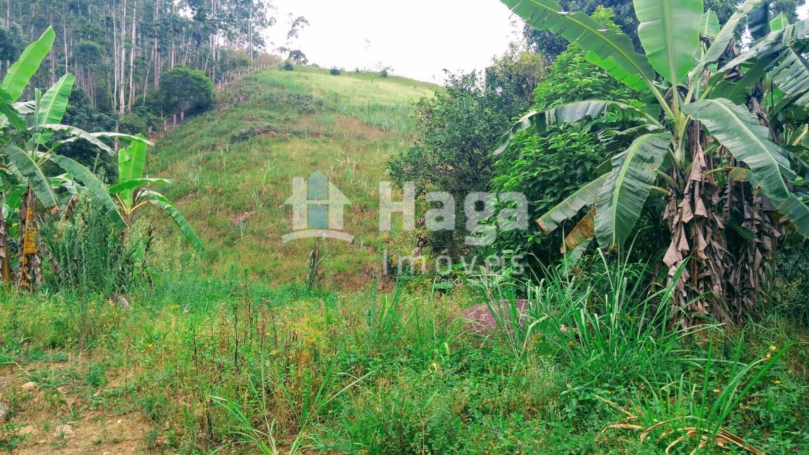 Plot of 6 acres in São João Batista, SC, Brazil