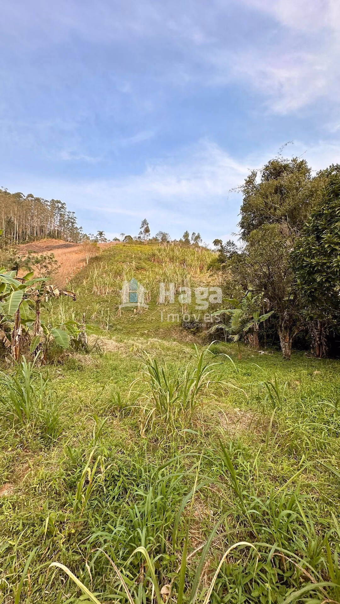 Plot of 6 acres in São João Batista, SC, Brazil