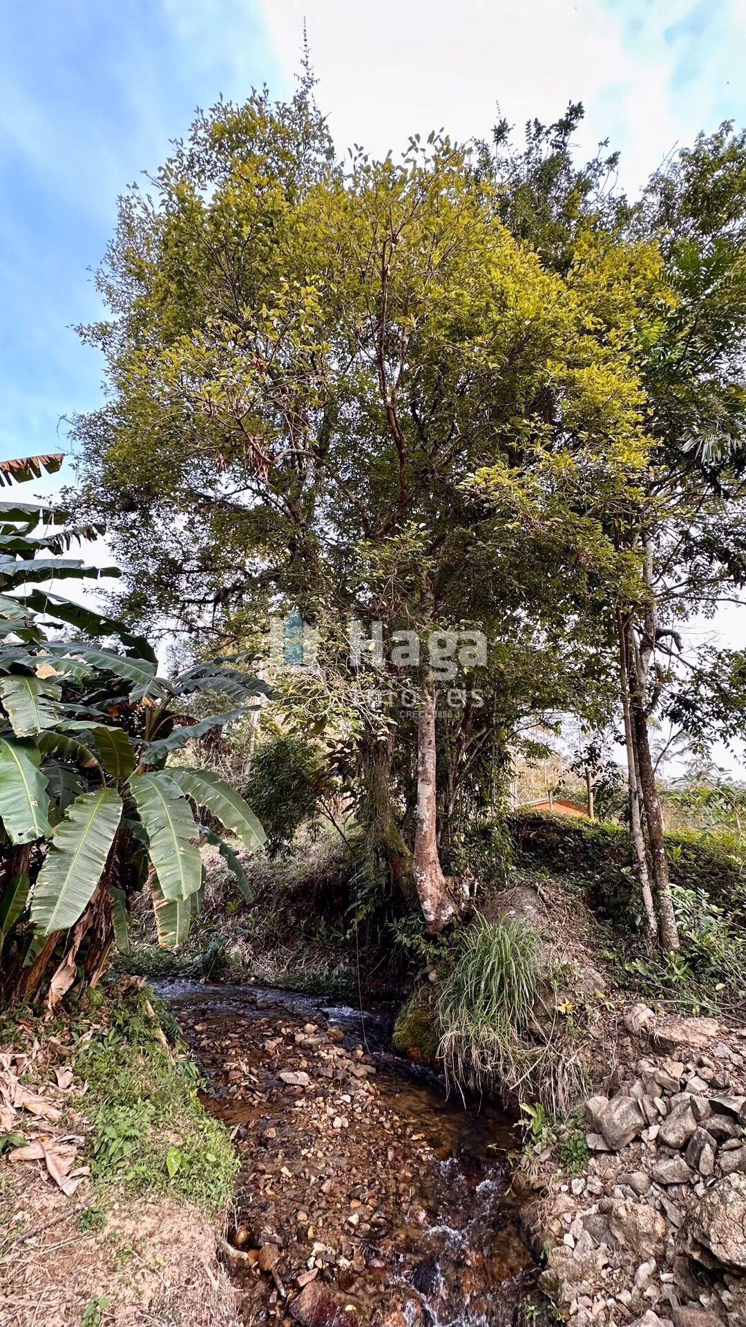 Plot of 6 acres in São João Batista, SC, Brazil