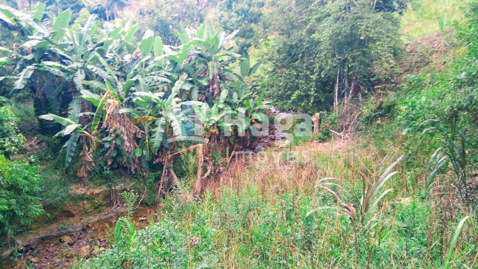 Plot of 6 acres in São João Batista, SC, Brazil