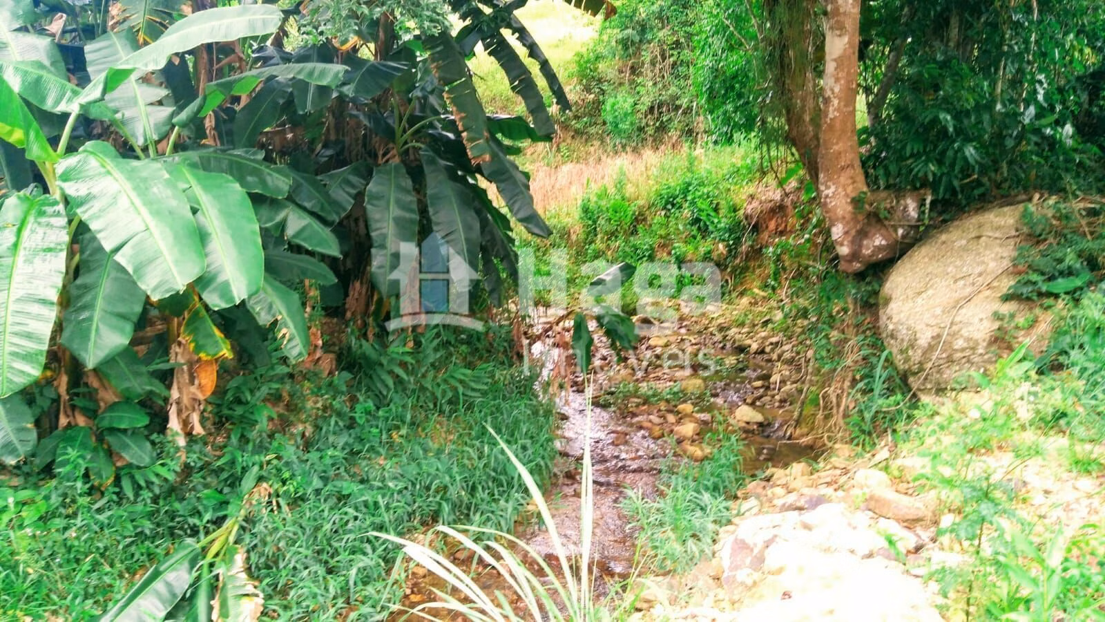 Plot of 6 acres in São João Batista, SC, Brazil