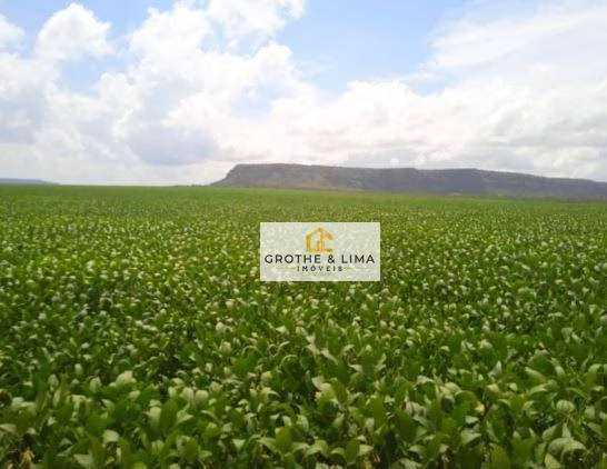 Fazenda de 5.800 ha em Balsas, MA