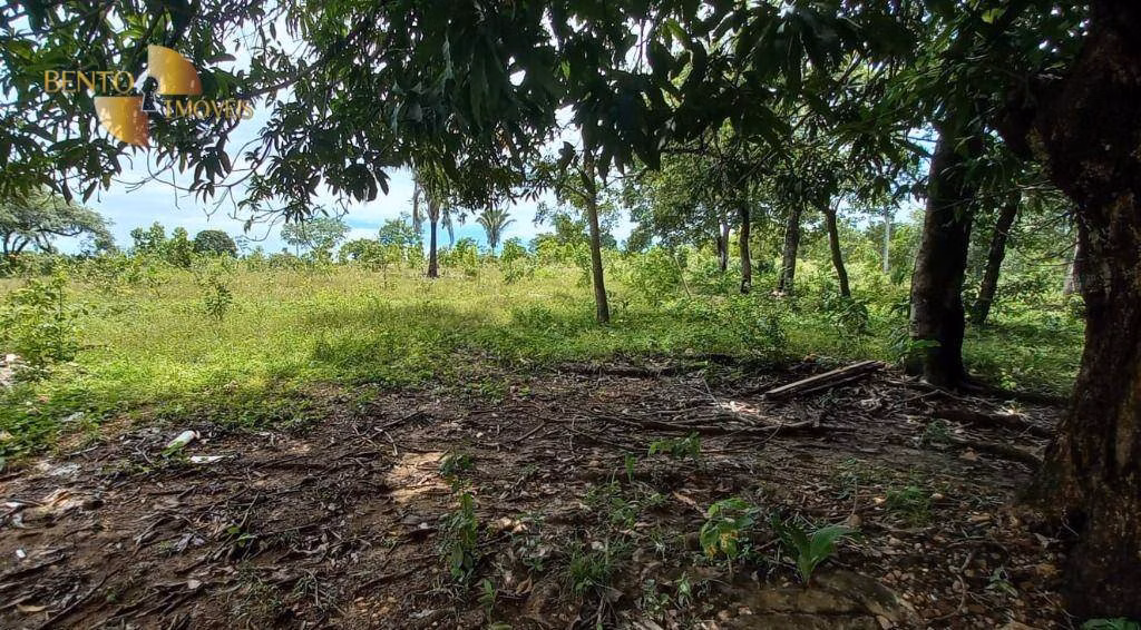 Fazenda de 2.360 ha em Poconé, MT