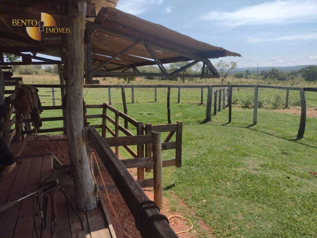 Fazenda de 964 ha em Guiratinga, MT