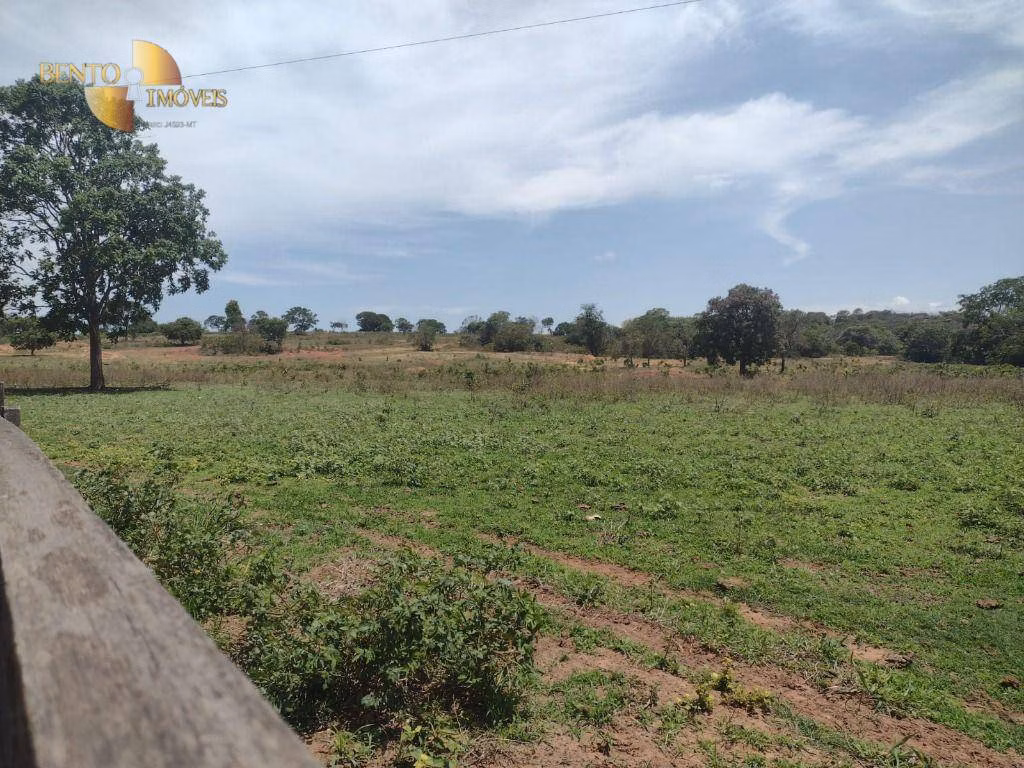 Fazenda de 964 ha em Guiratinga, MT