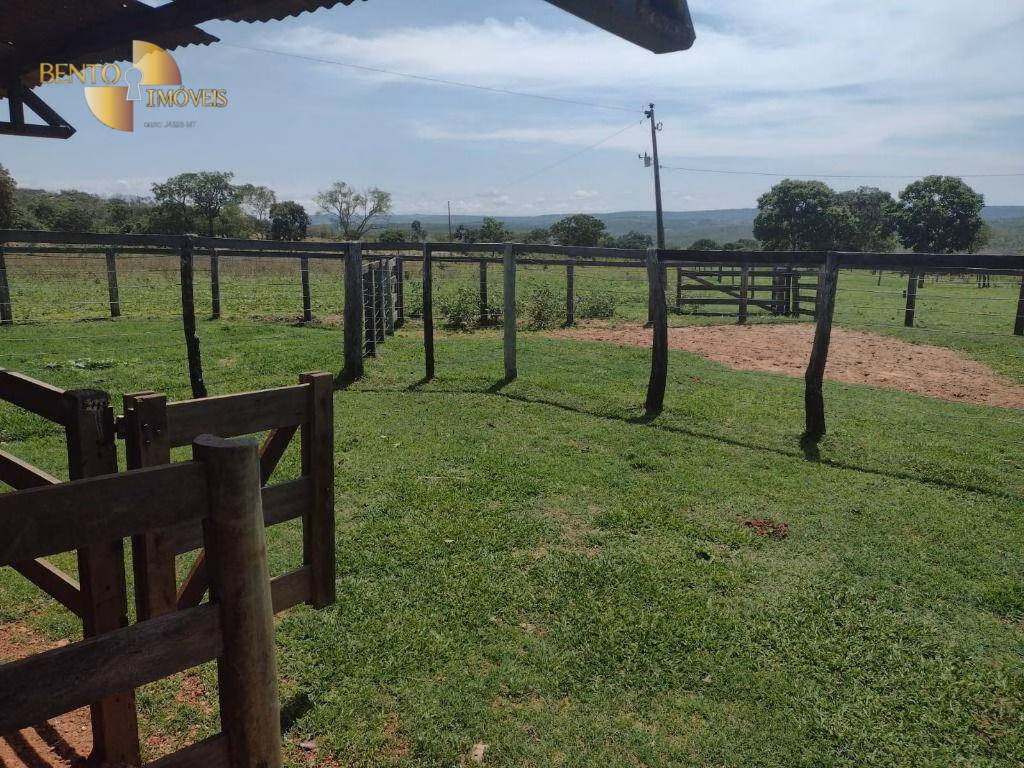 Fazenda de 964 ha em Guiratinga, MT