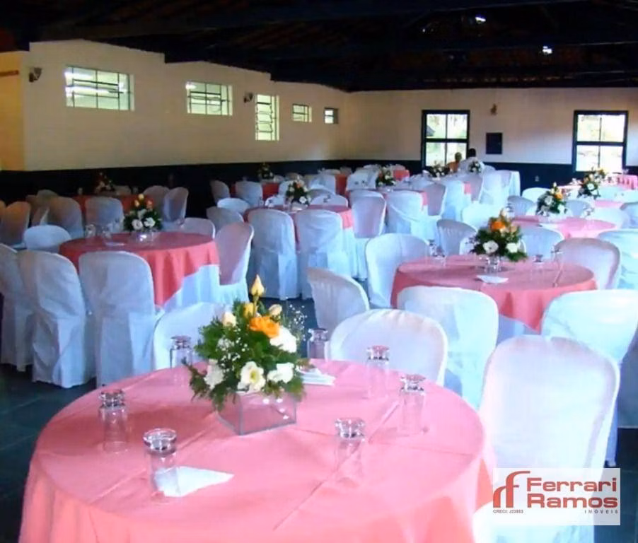 Piquete, SPの133 ha、農場（販売中）