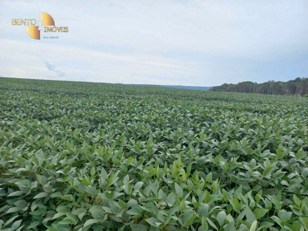Fazenda de 3.025 ha em Juara, MT