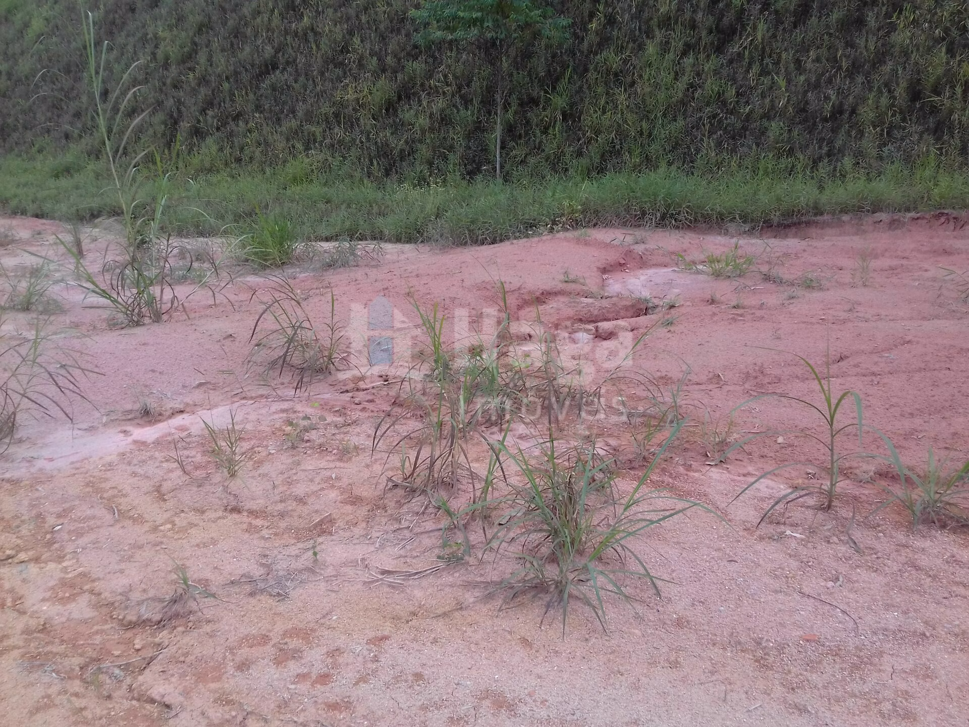 Plot of 301 m² in Guabiruba, SC, Brazil