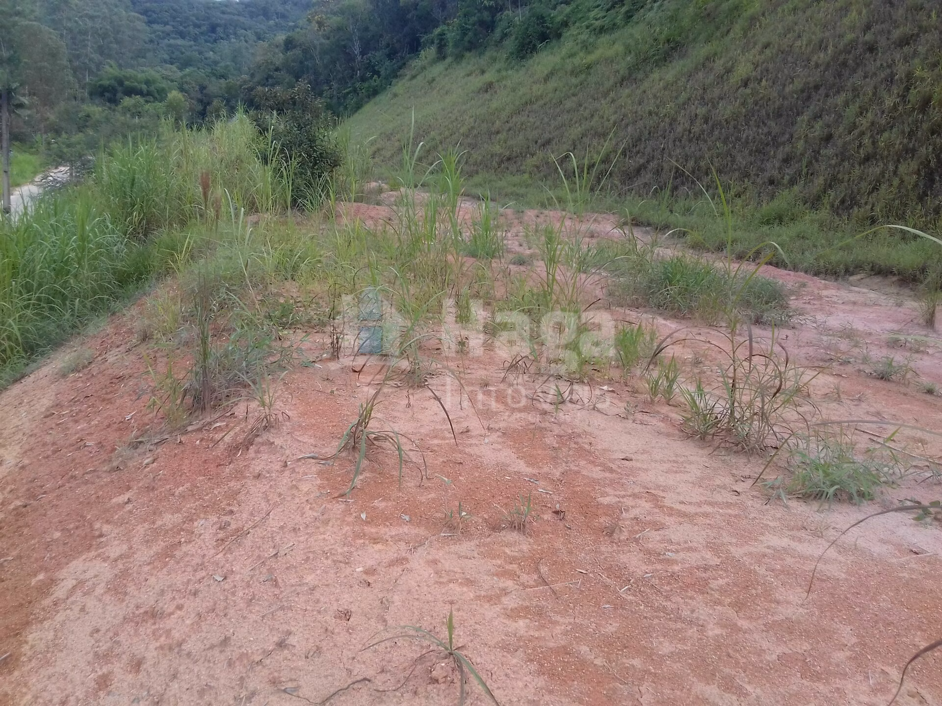 Plot of 301 m² in Guabiruba, SC, Brazil