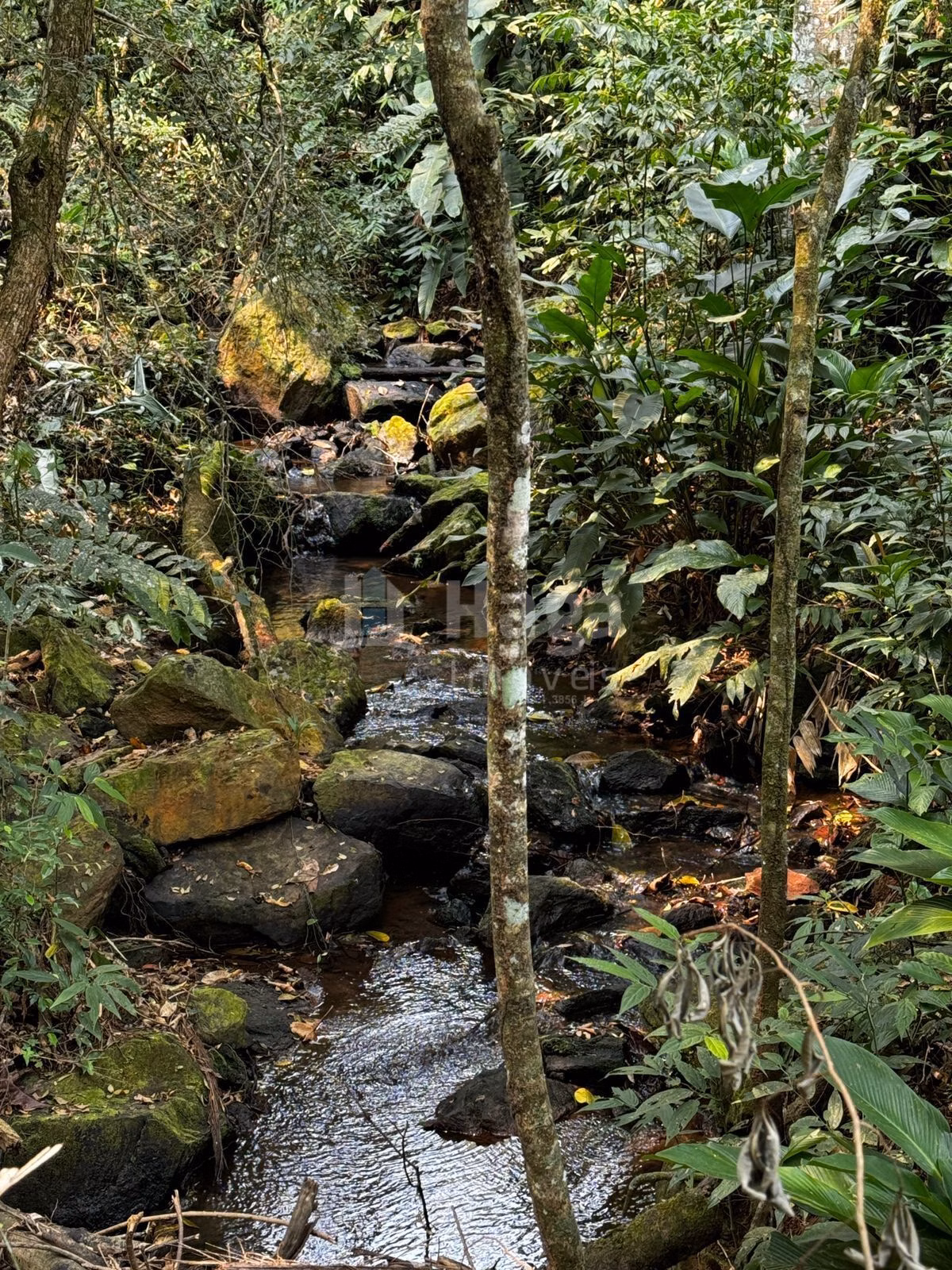 Farm of 1 acres in Canelinha, SC, Brazil