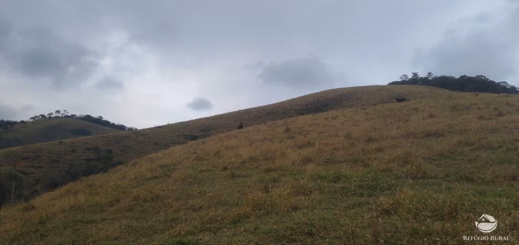 Plot of 32 acres in São José dos Campos, SP, Brazil