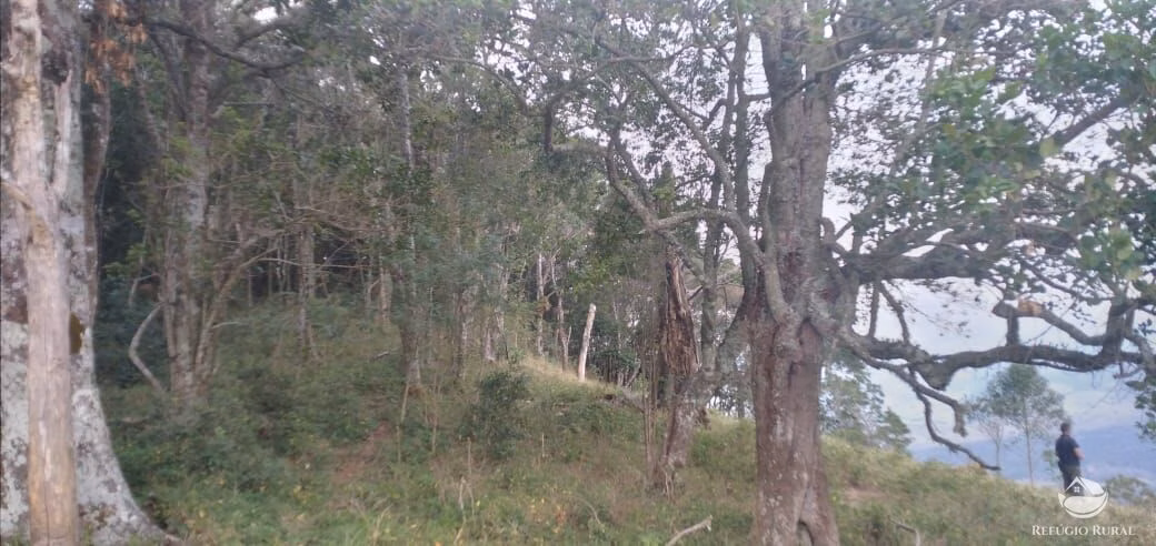 Plot of 32 acres in São José dos Campos, SP, Brazil