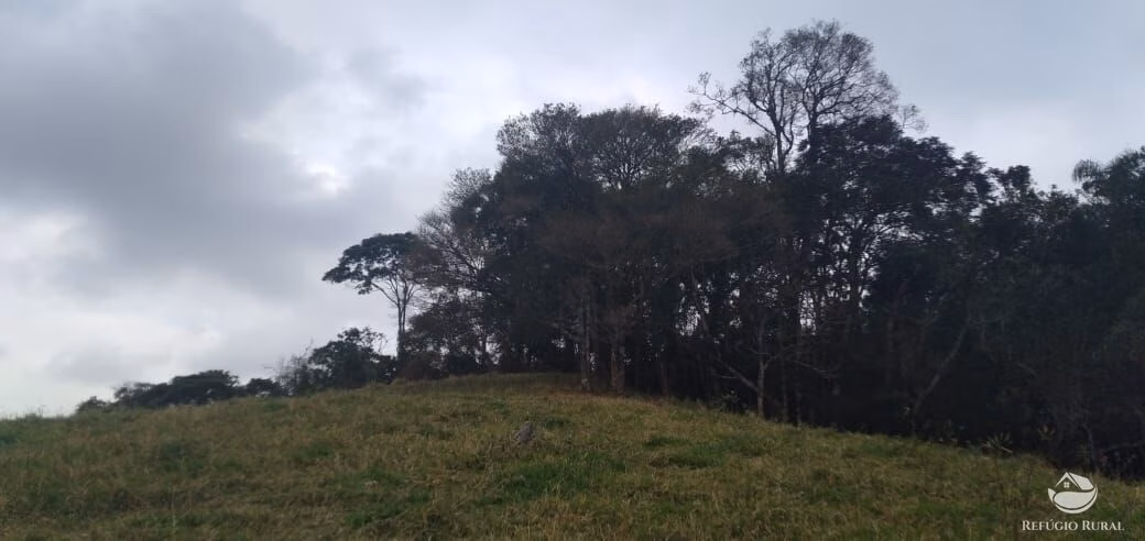 Plot of 32 acres in São José dos Campos, SP, Brazil