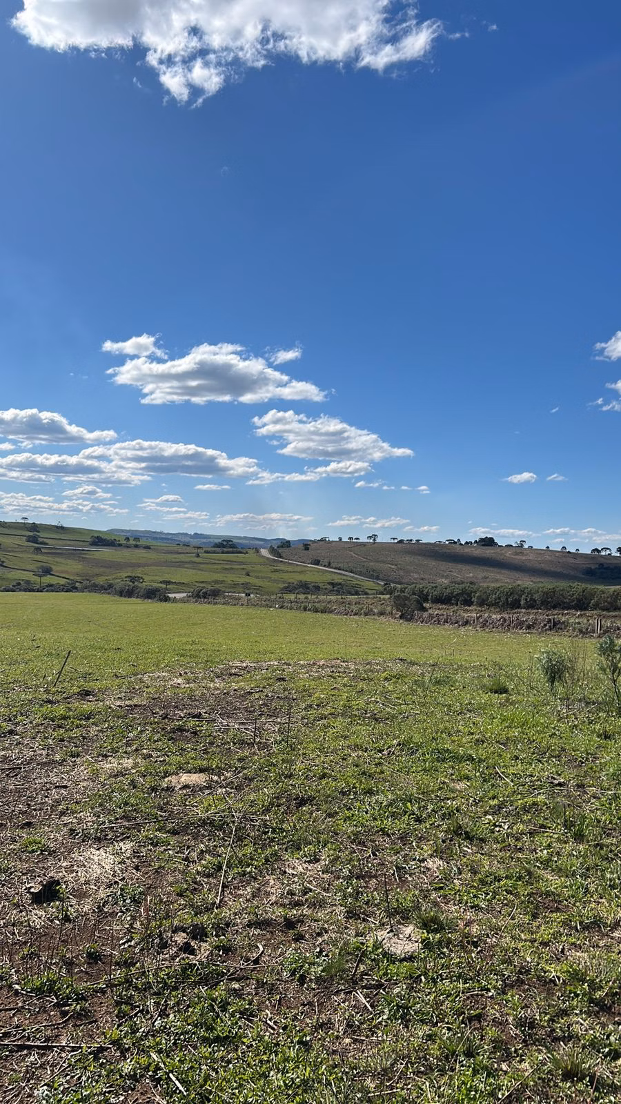 Petite ferme à vendre de 51 ha à Lages, SC