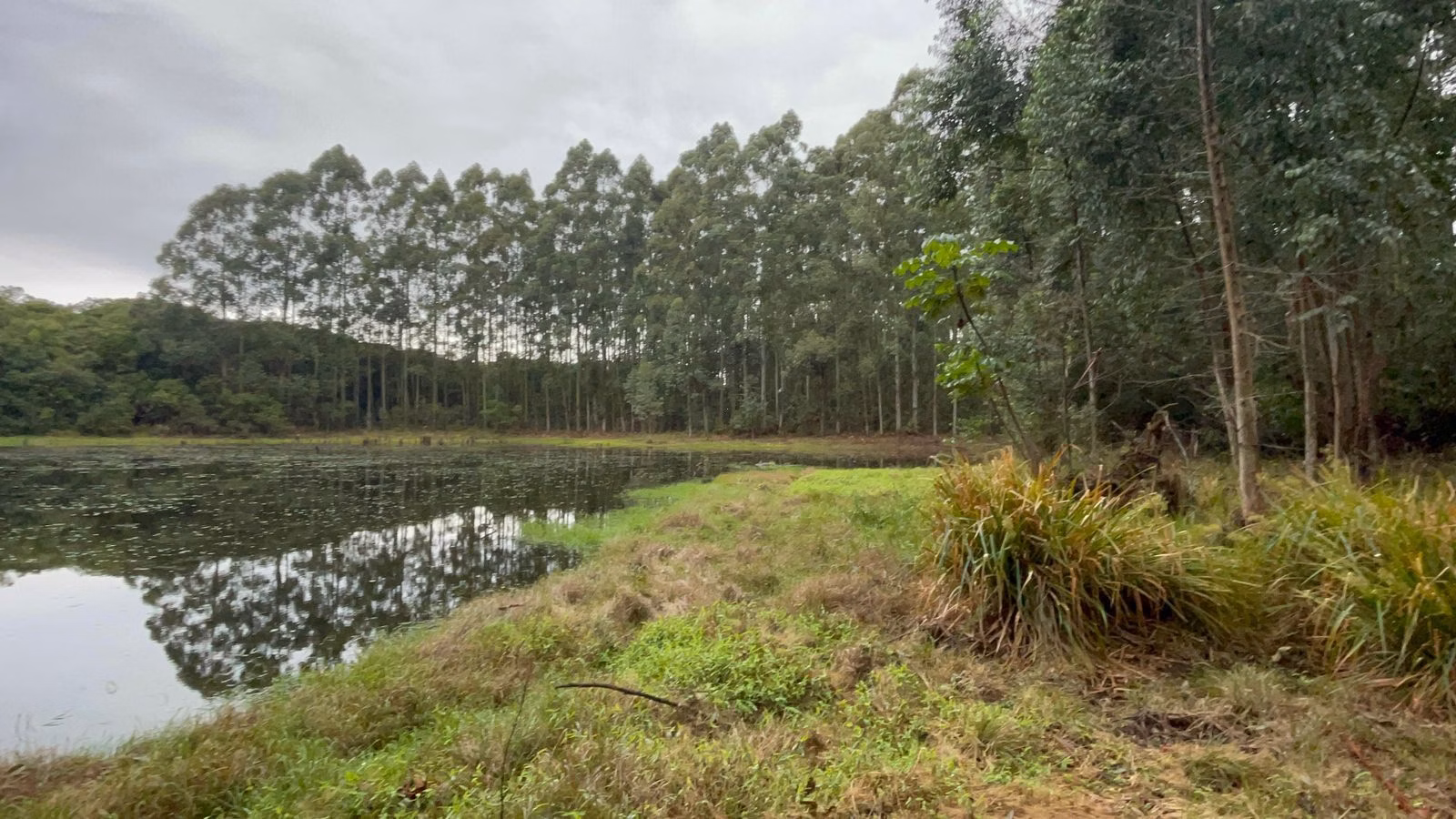 Small farm of 30 acres in Glorinha, RS, Brazil