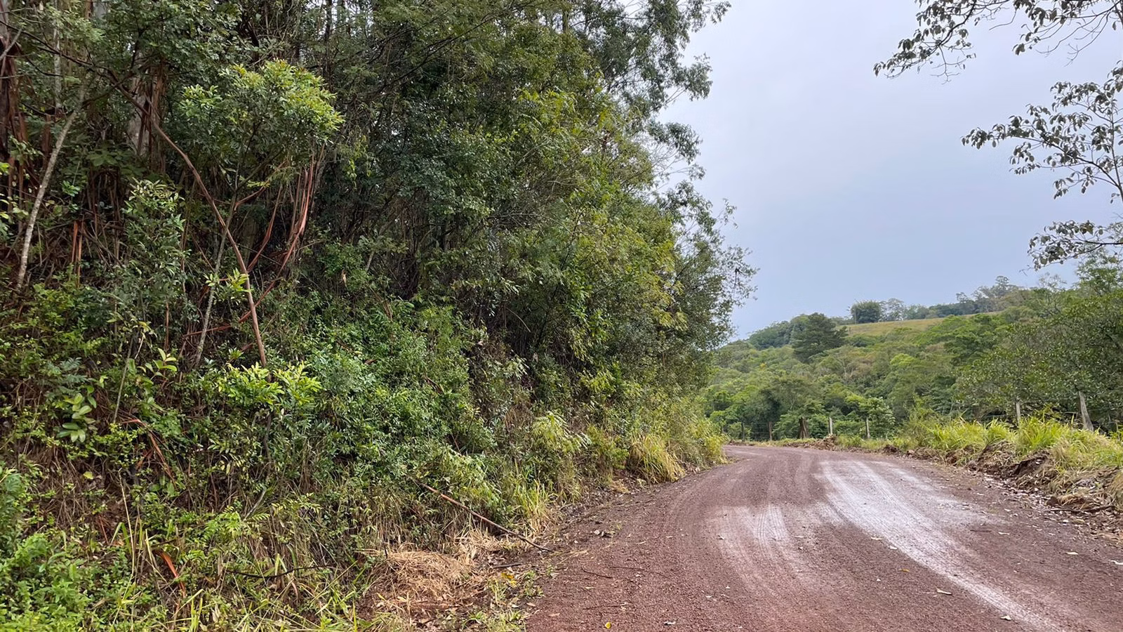 Sítio de 12 ha em Glorinha, RS