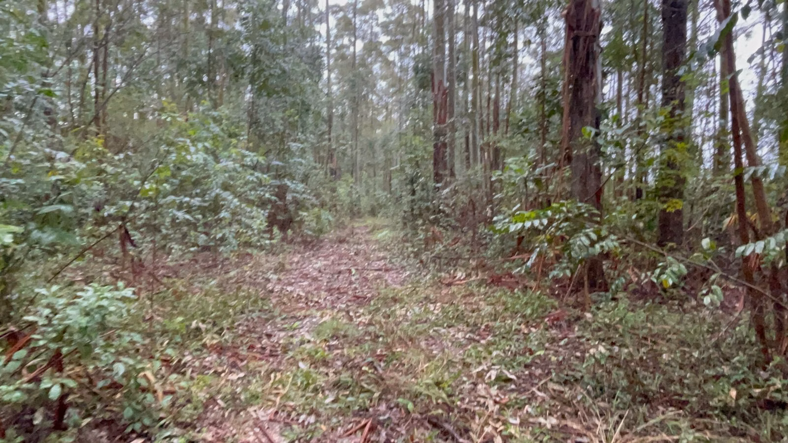 Small farm of 30 acres in Glorinha, RS, Brazil