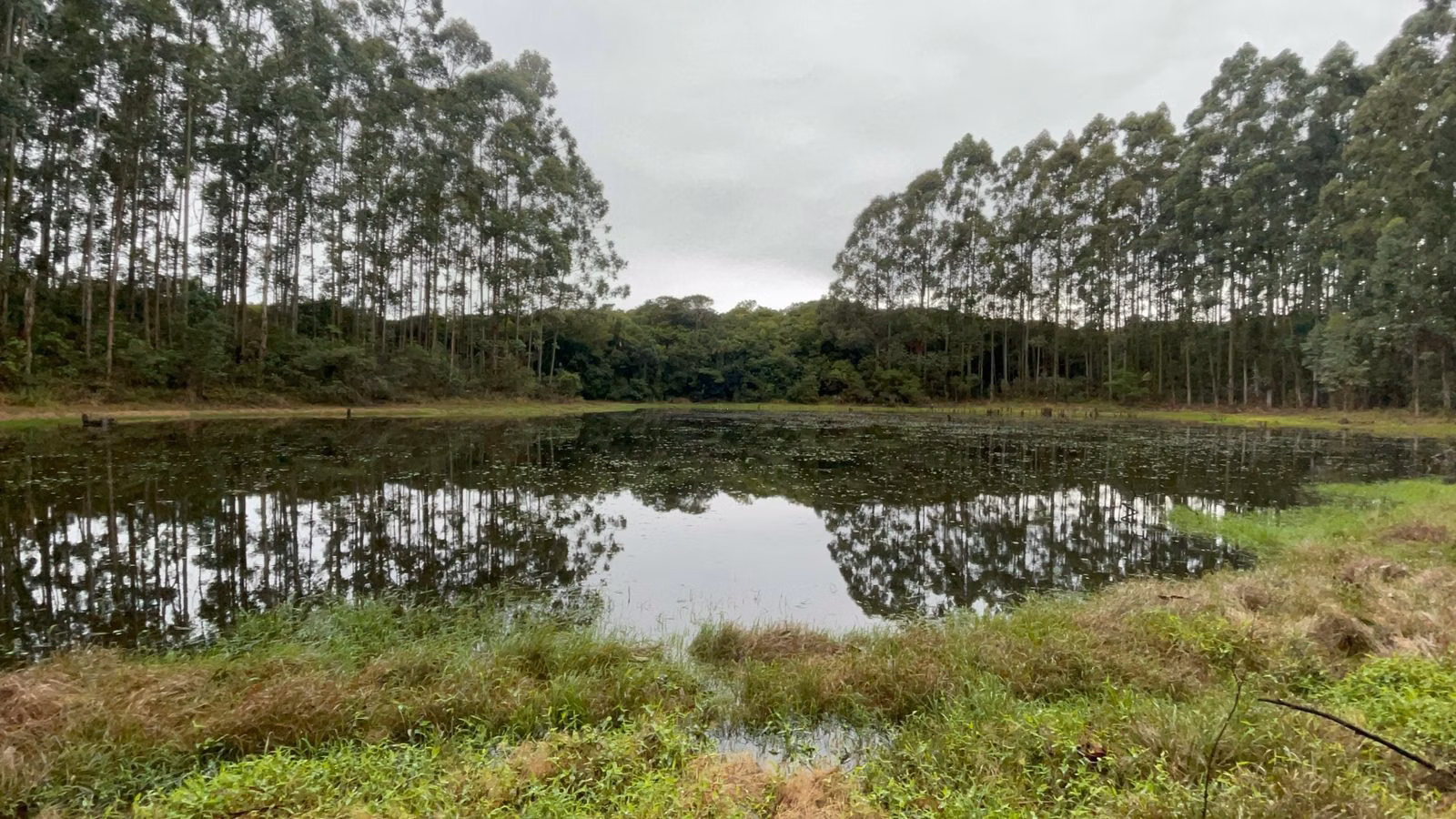 Small farm of 30 acres in Glorinha, RS, Brazil