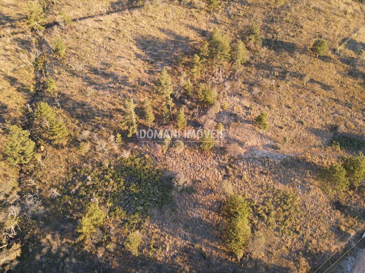 Plot of 2 acres in Campos do Jordão, SP, Brazil