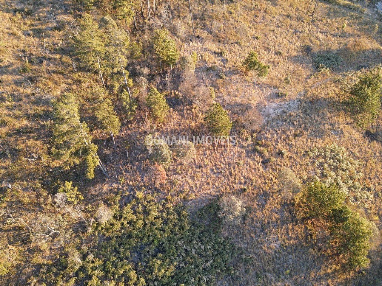 Plot of 2 acres in Campos do Jordão, SP, Brazil