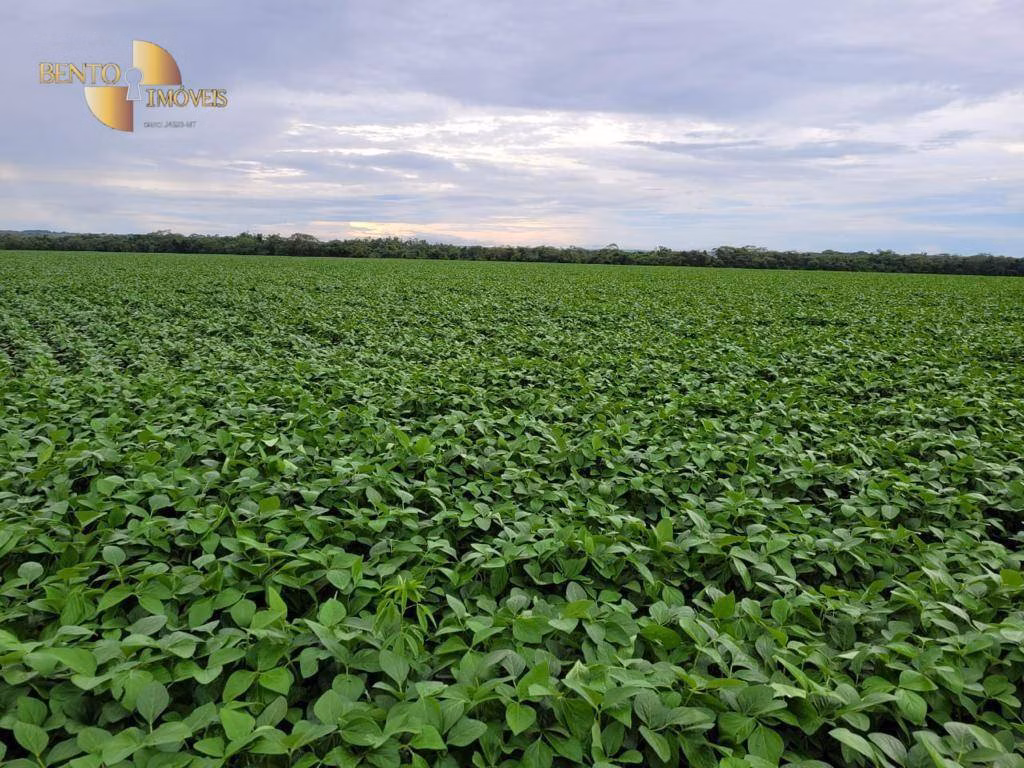 Fazenda de 555 ha em Paranatinga, MT