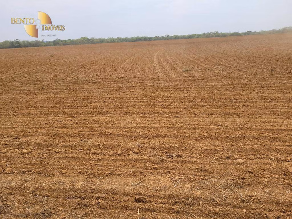 Fazenda de 555 ha em Paranatinga, MT