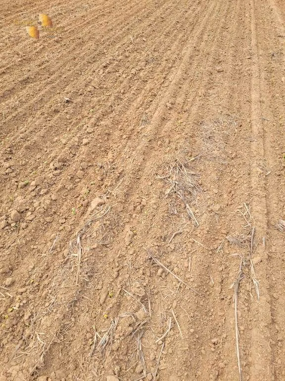 Fazenda de 555 ha em Paranatinga, MT