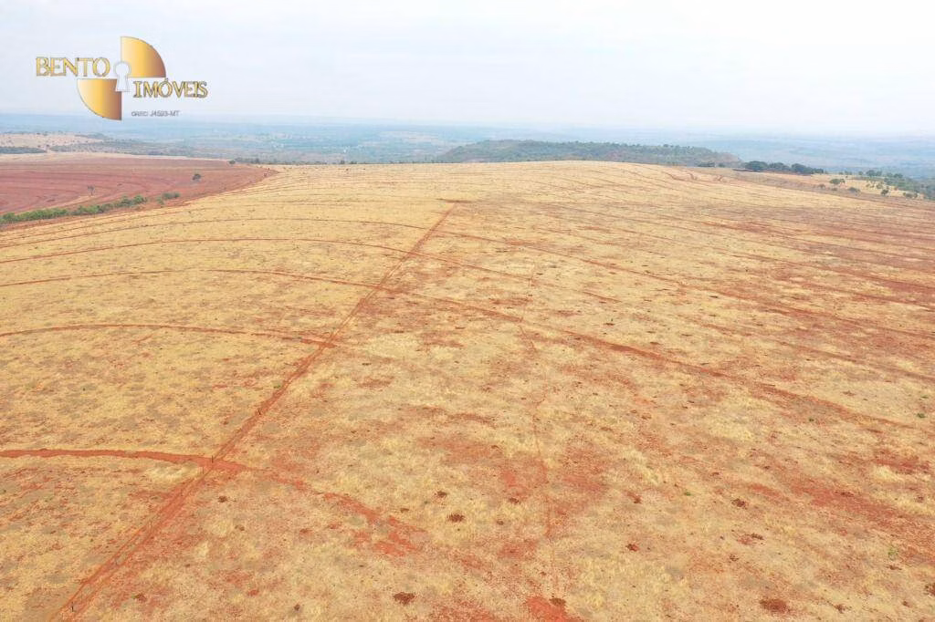 Fazenda de 750 ha em Guiratinga, MT