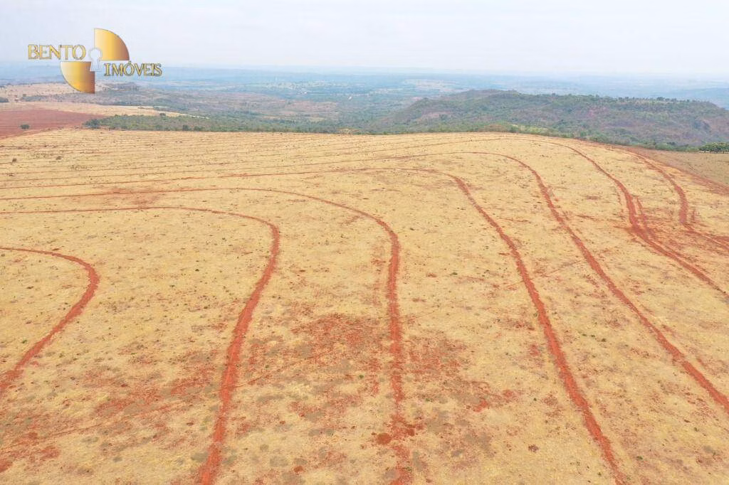 Fazenda de 750 ha em Guiratinga, MT
