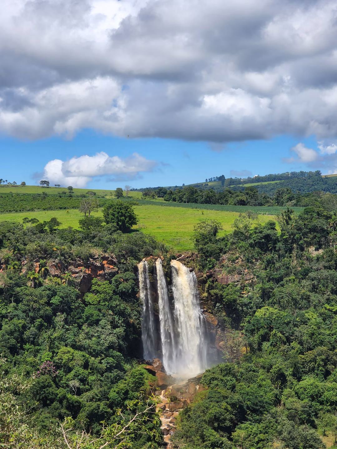 Timburi - SP